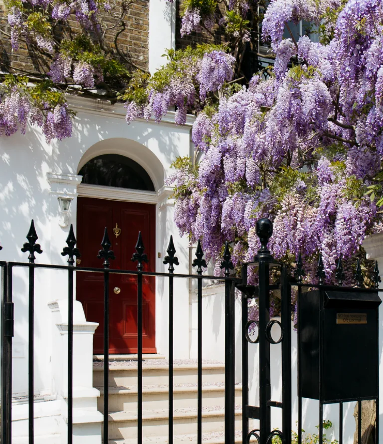 luxury london property red door with gate